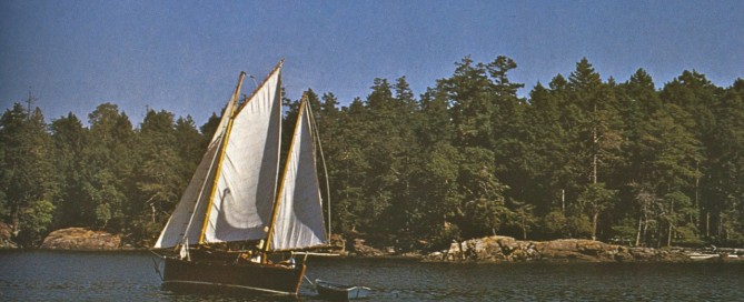 Brown rice boat041